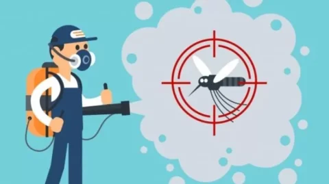 disinfestazione-zanzare
