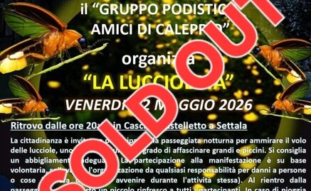 titolo 2